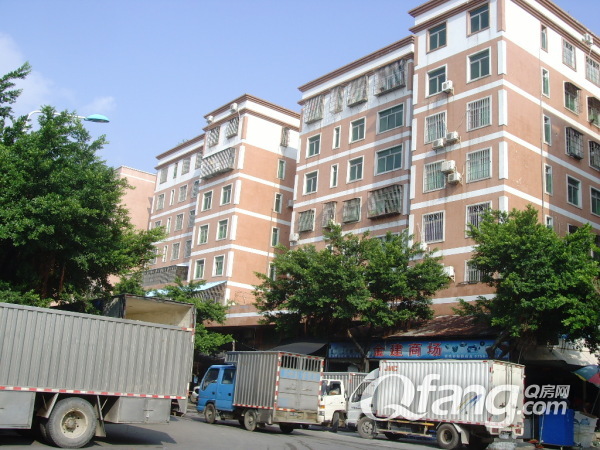 珠海白藤头海鲜市场_白藤杏子_三亚第一市场海鲜图片